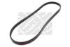 MAPCO 240917E V-Ribbed Belts